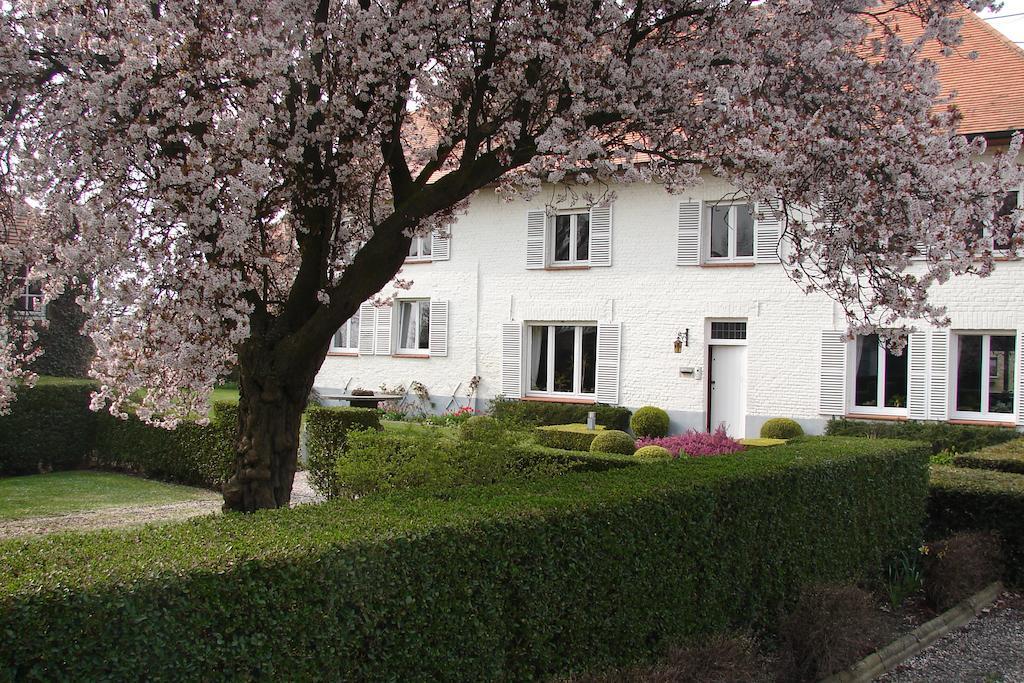 Holiday Home De Colve Bruggy Exteriér fotografie